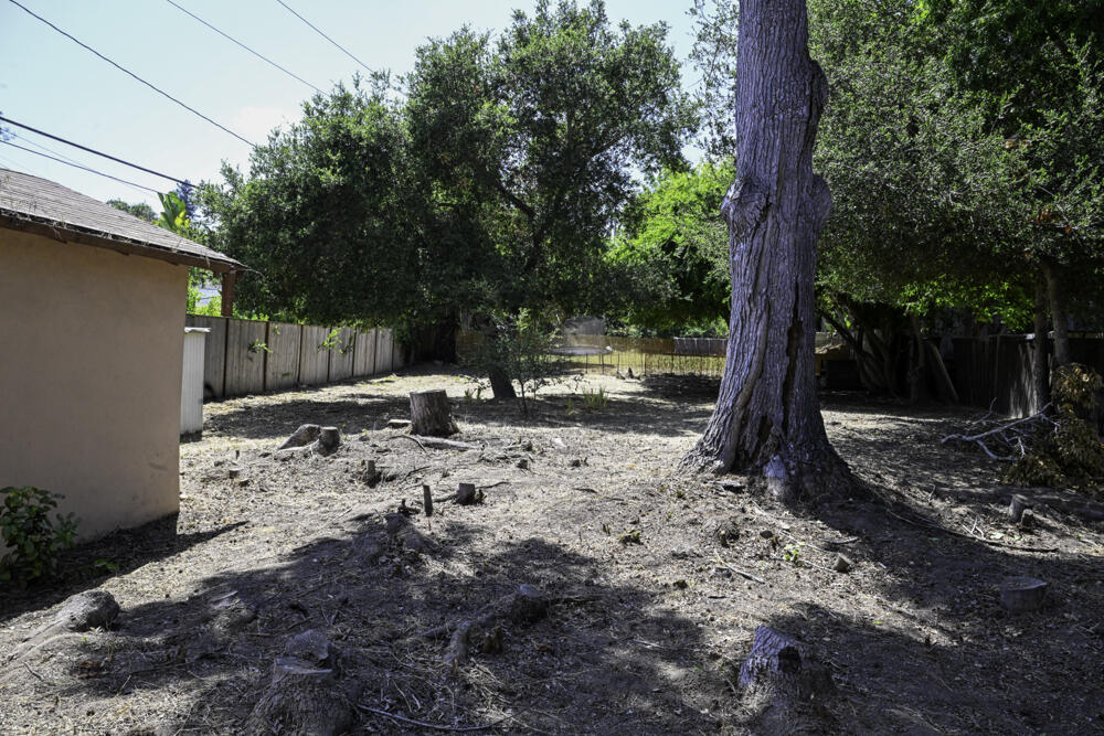 337 E Calle Laureles