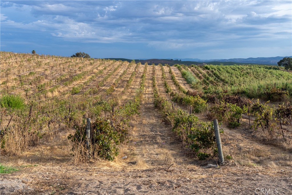 8415 Magdalena Drive