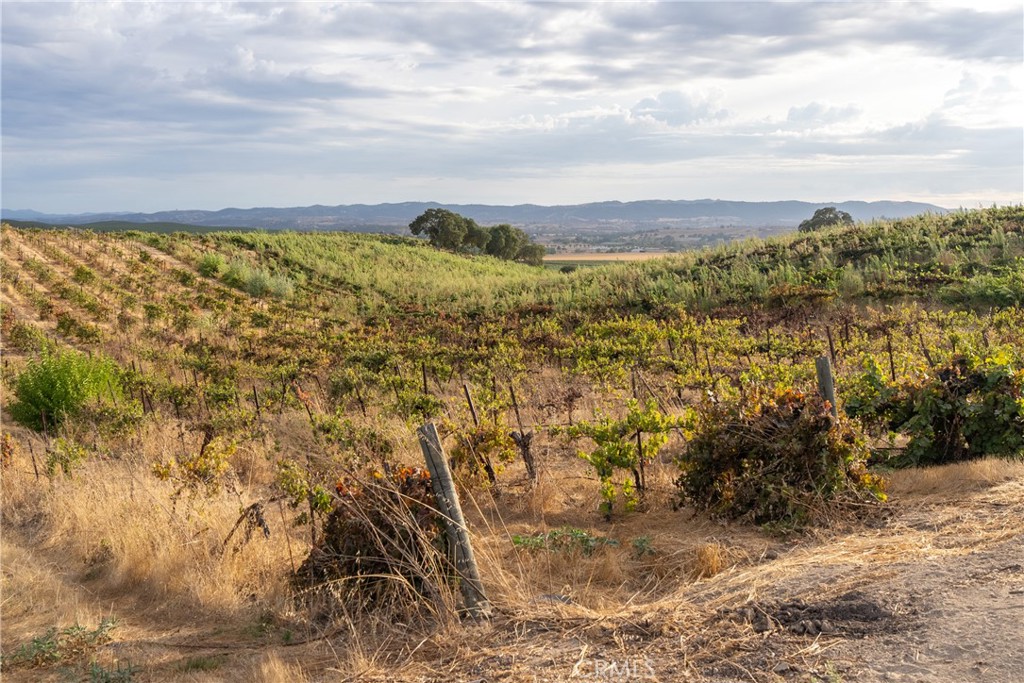 8415 Magdalena Drive