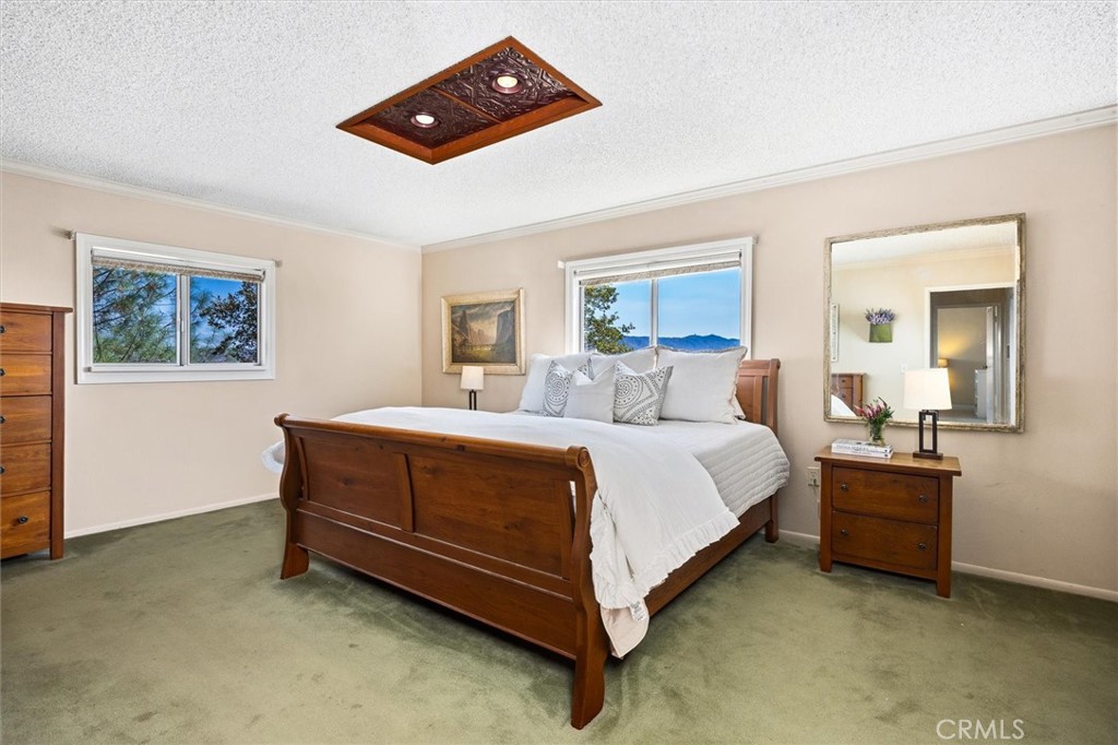Bedroom with a wooden bed, green carpet, ornate ceiling light, and mountain views through the window.