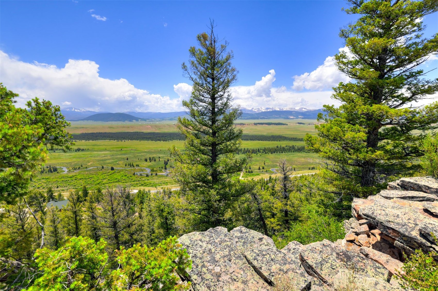1565 Middle Fork Vista