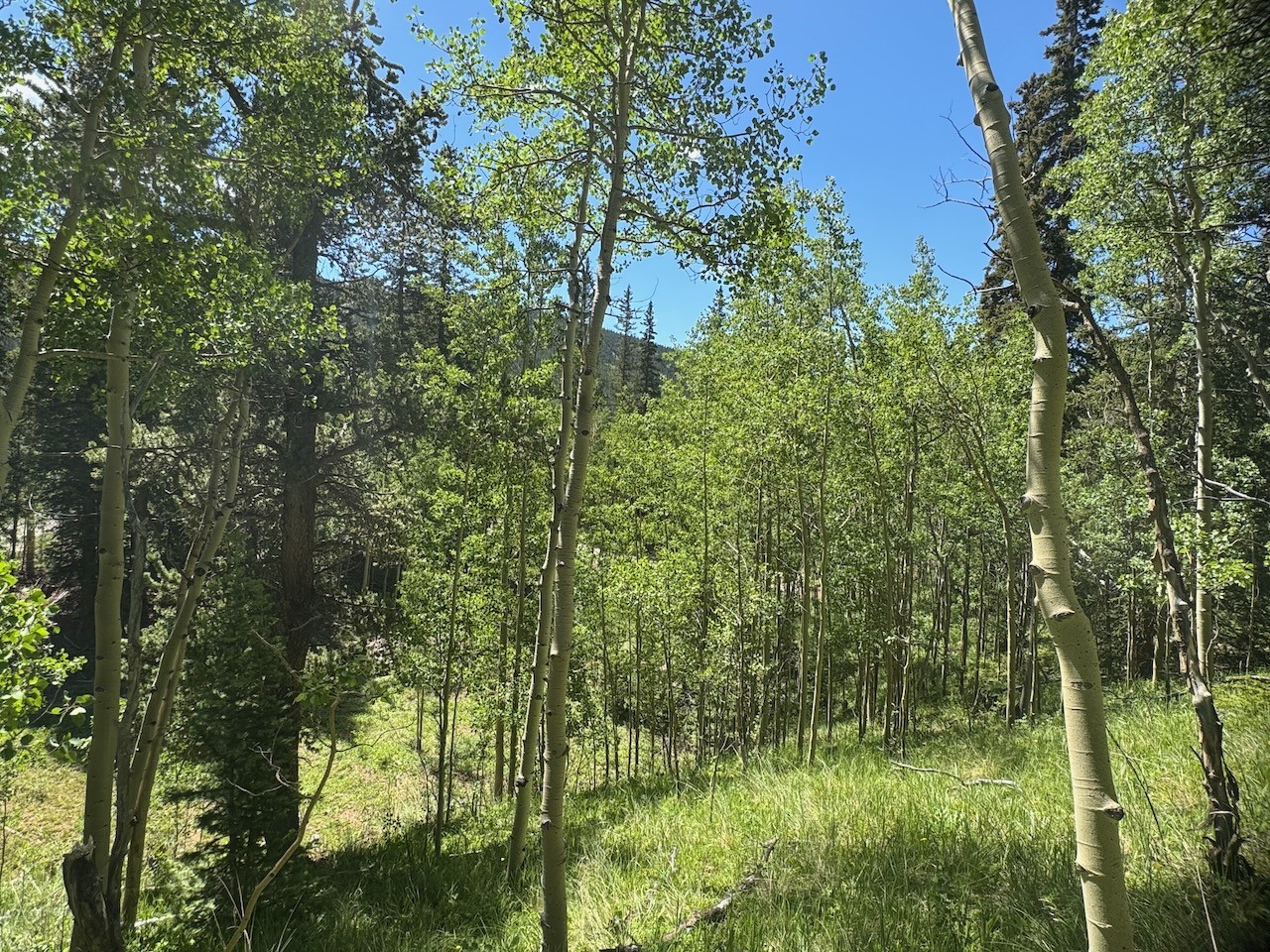 74 ASPEN WAY