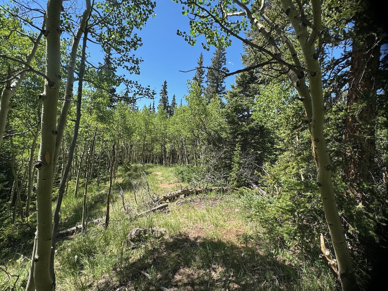 74 ASPEN WAY