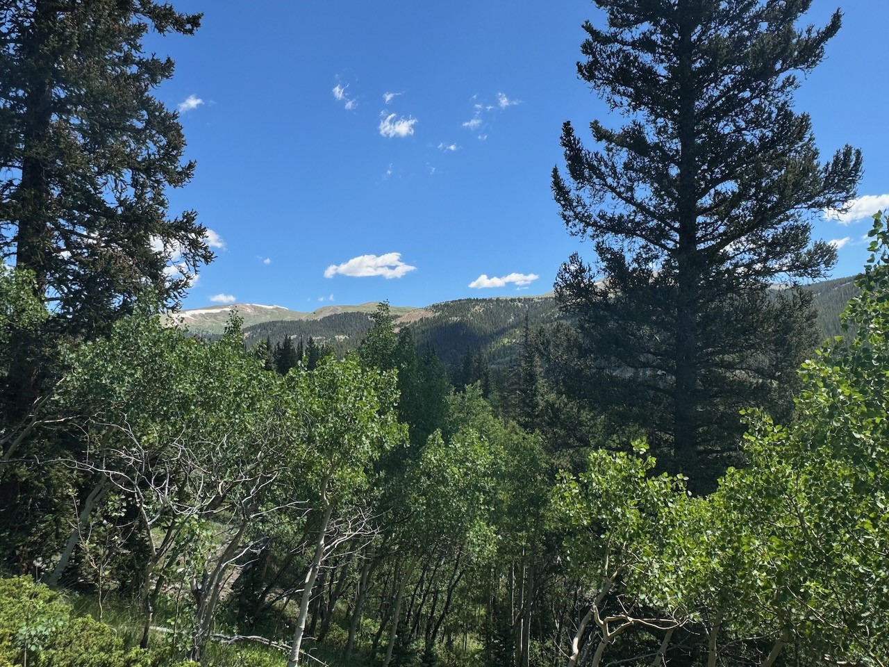 74 ASPEN WAY