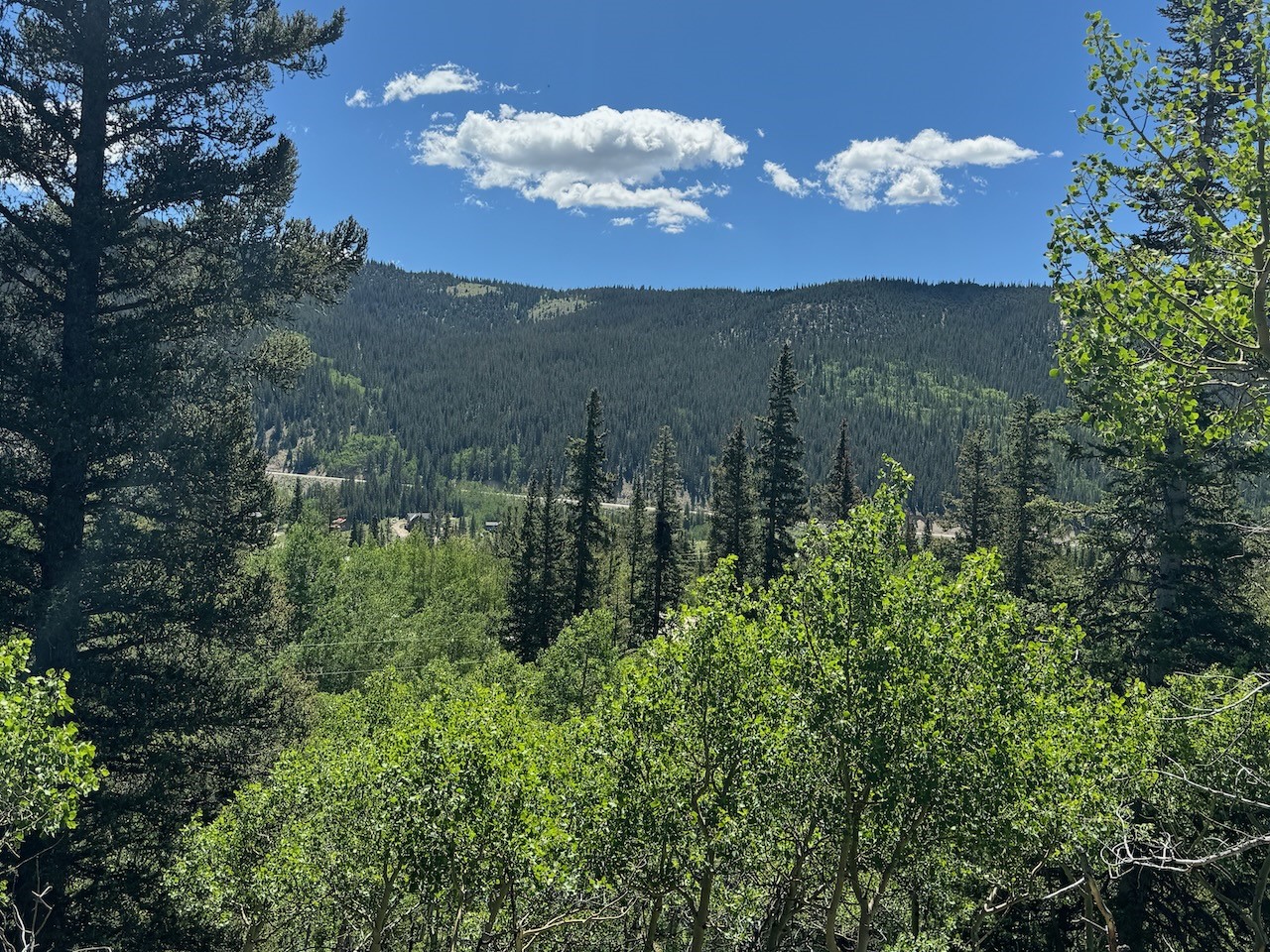 74 ASPEN WAY