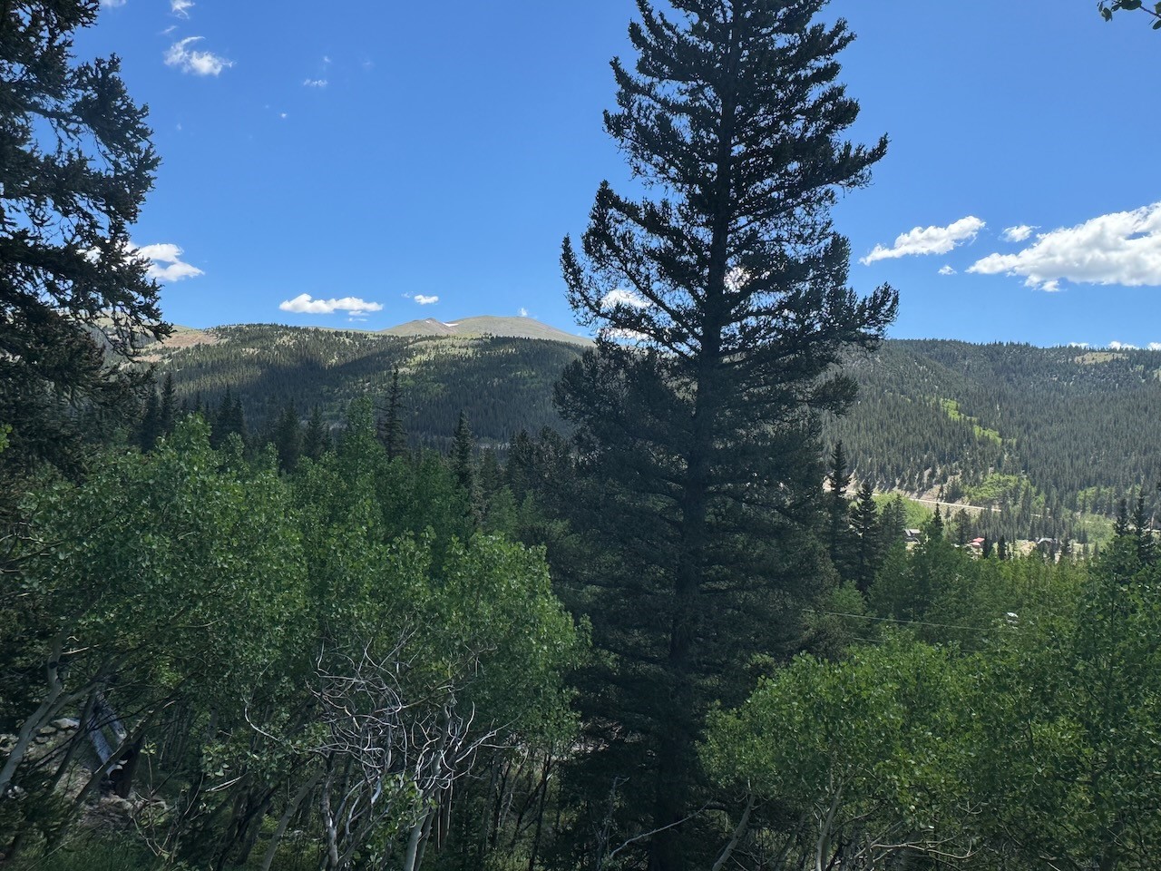 74 ASPEN WAY