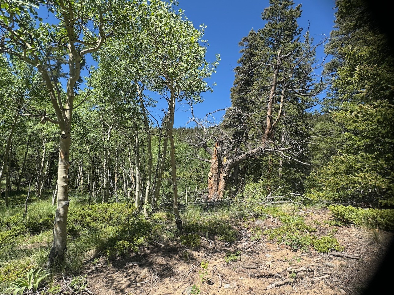 74 ASPEN WAY