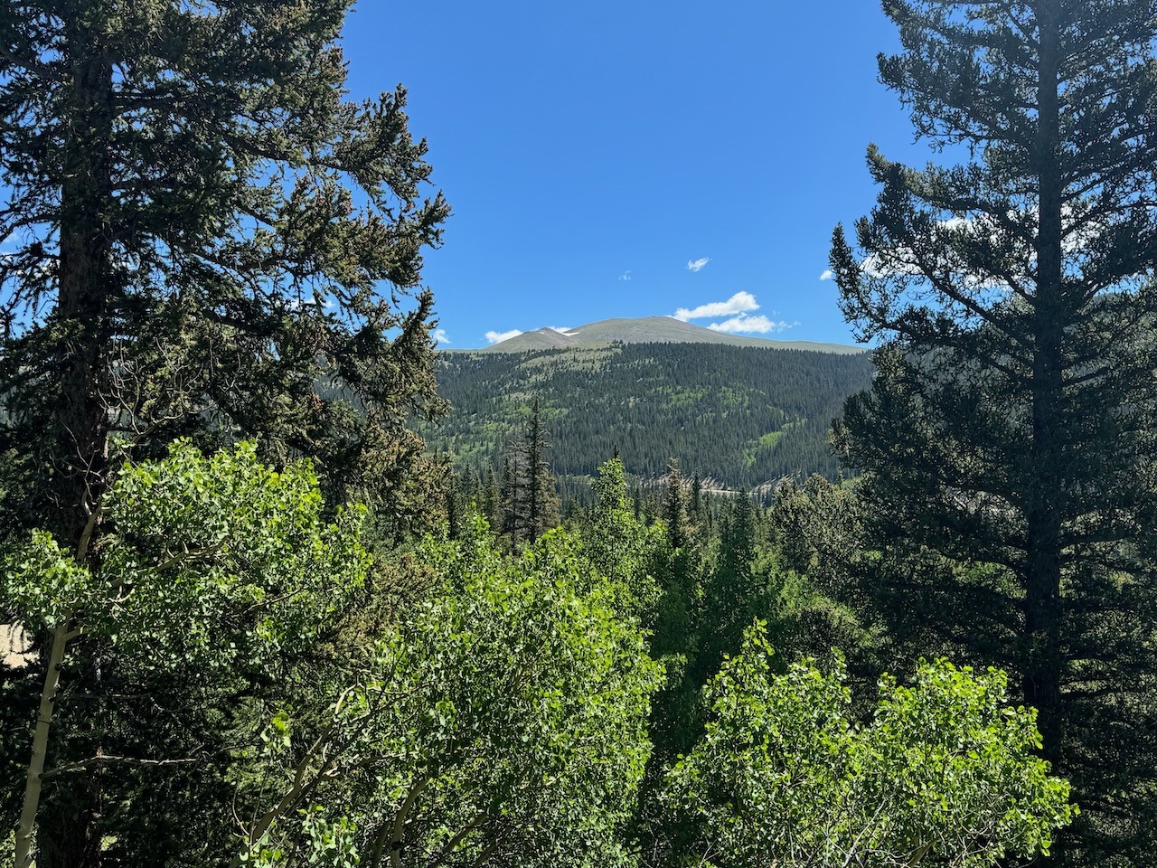 74 ASPEN WAY