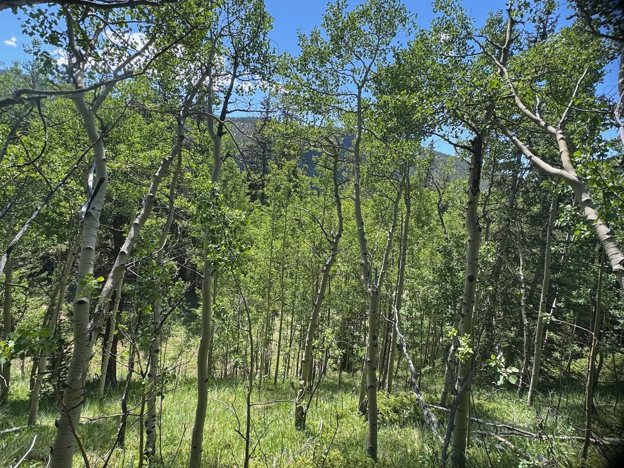 74 ASPEN WAY