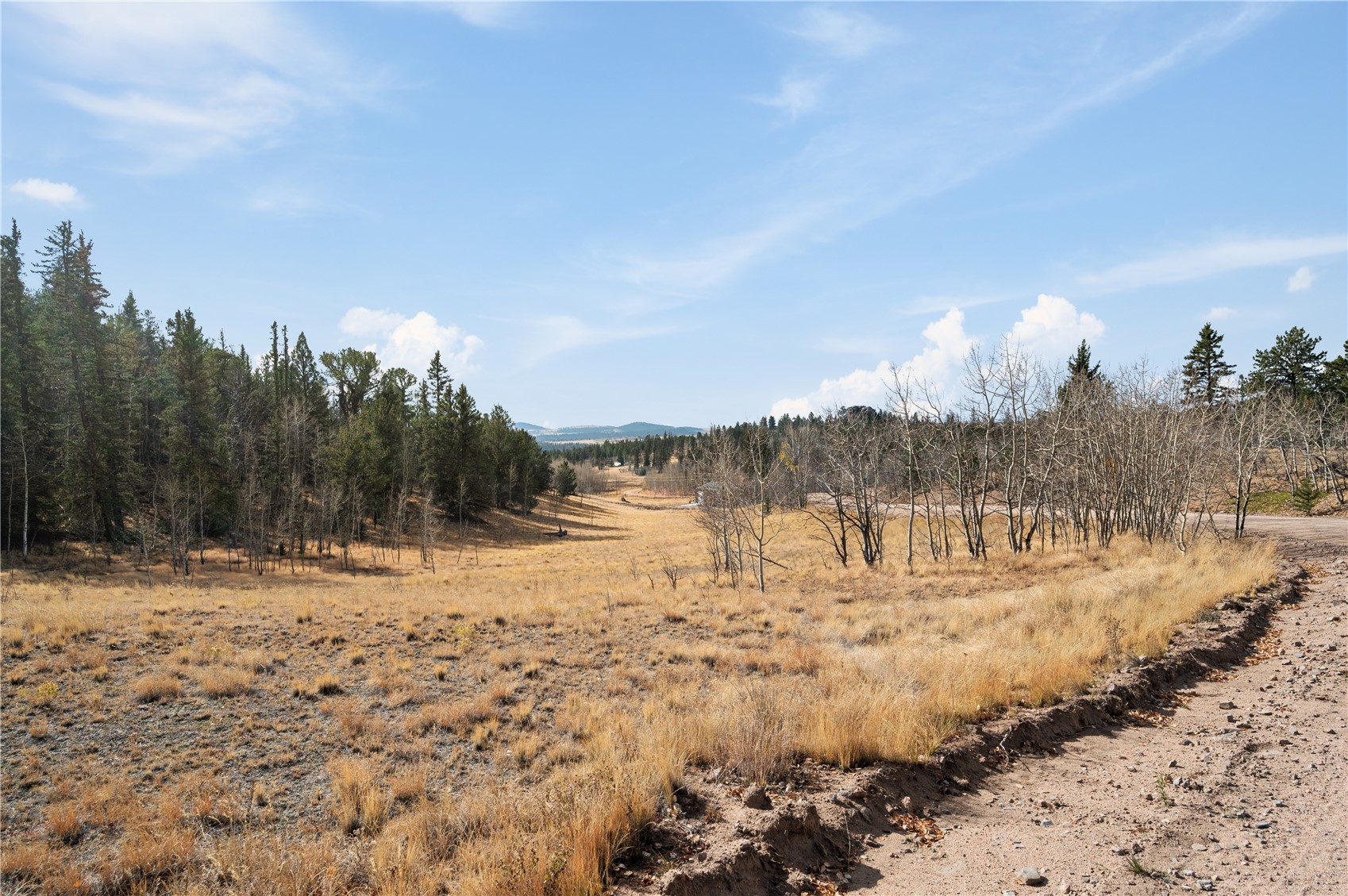 1840 Ouray TRAIL