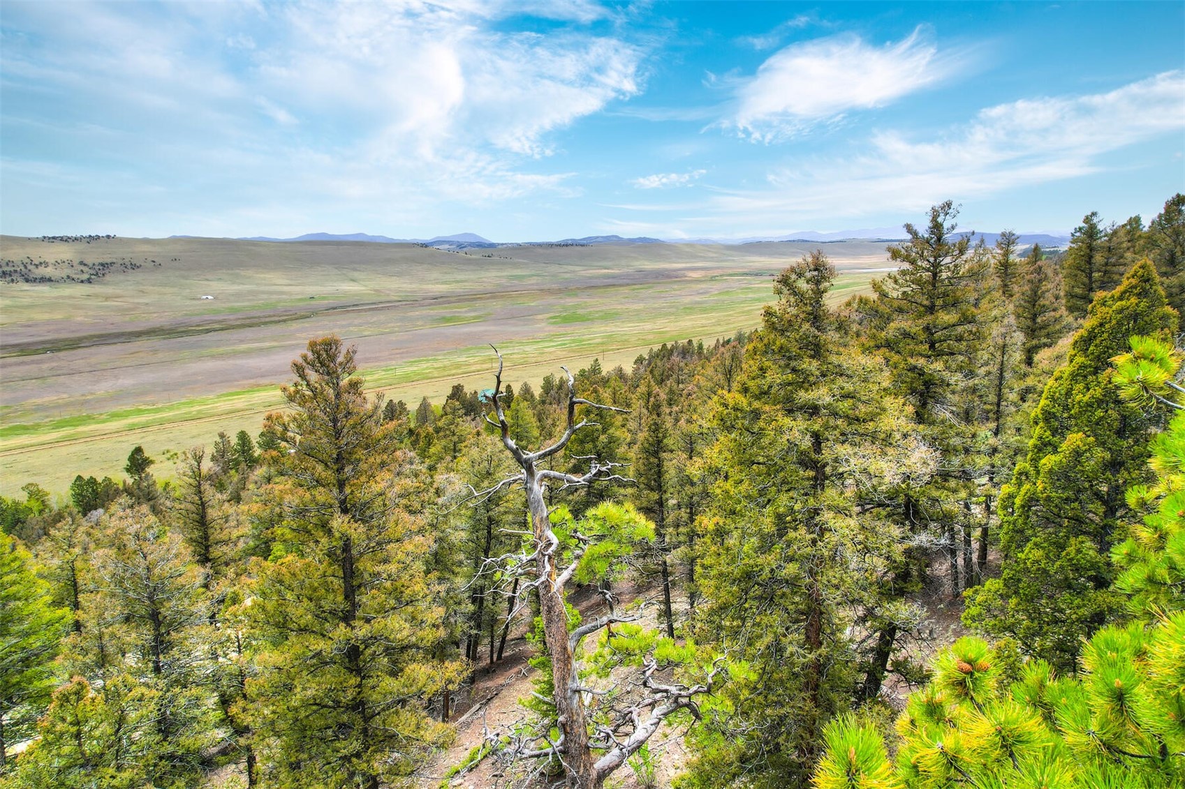 TBD Trout Creek LANE