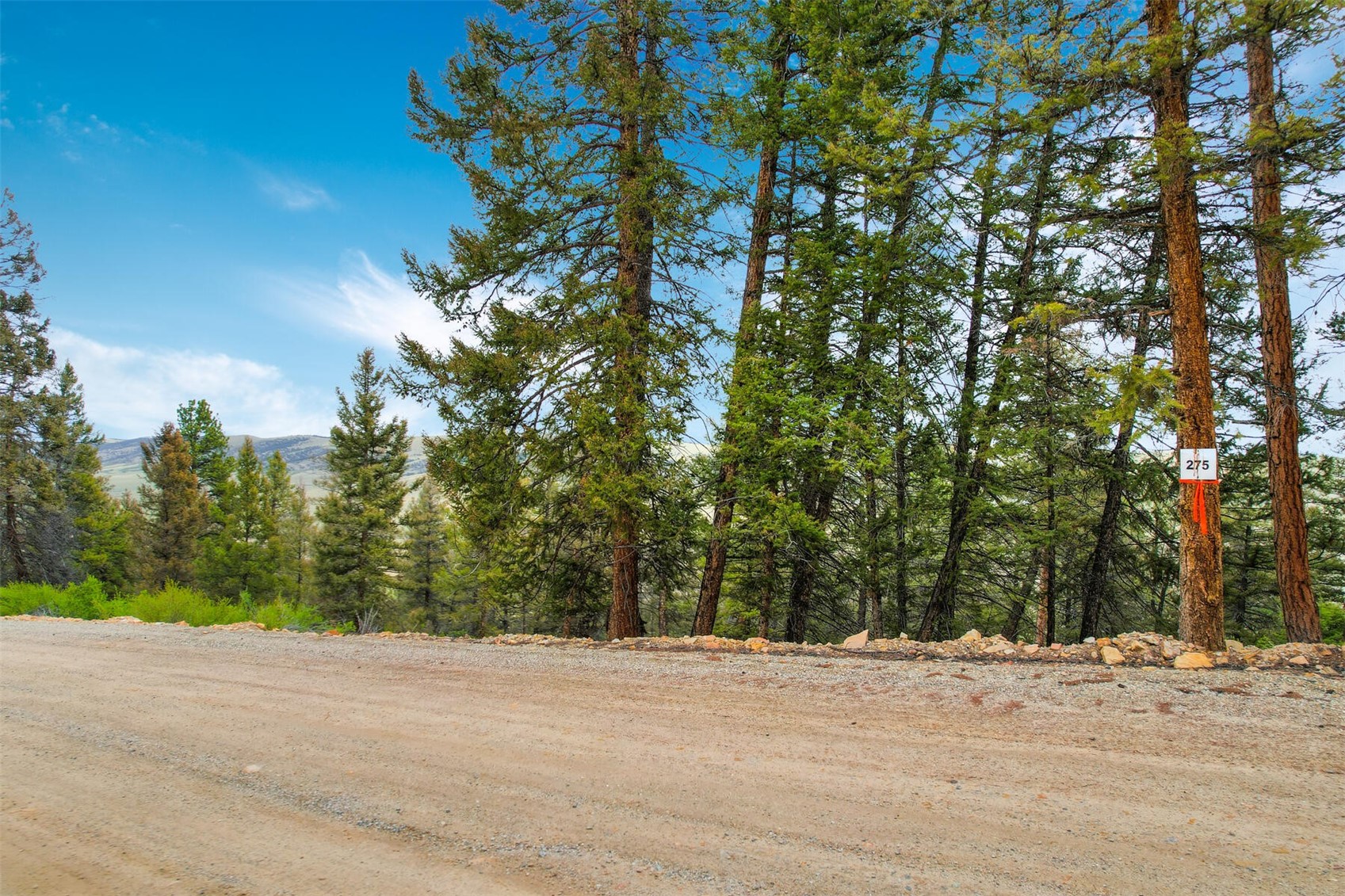 TBD Trout Creek LANE