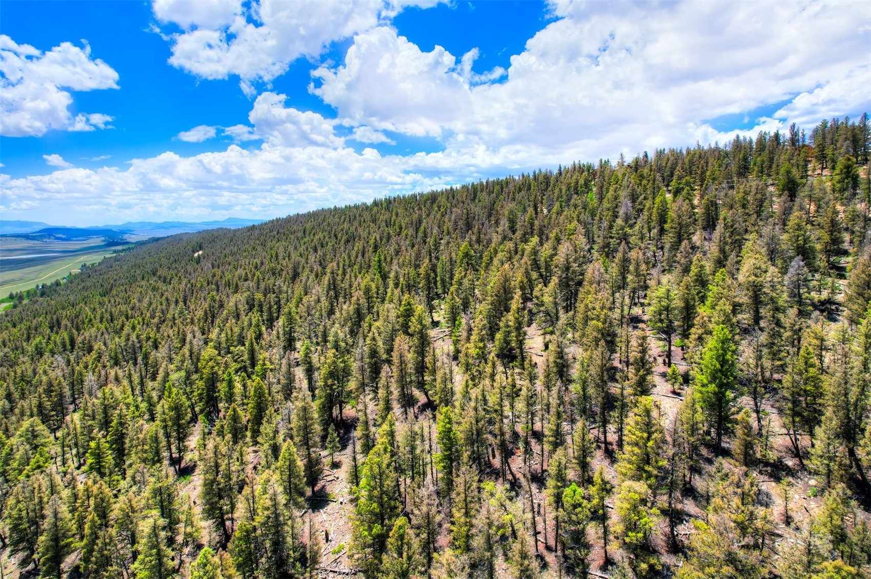 Lot 262 Middle Fork Vista