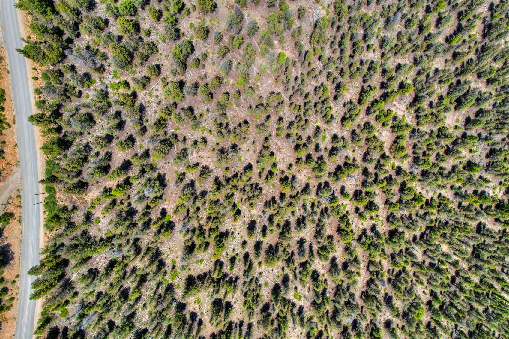 Lot 262 Middle Fork Vista