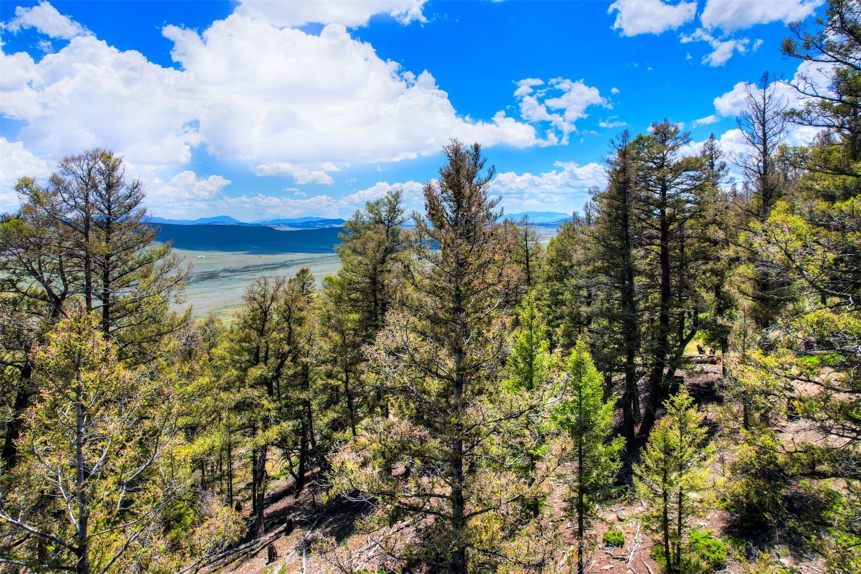 Lot 262 Middle Fork Vista