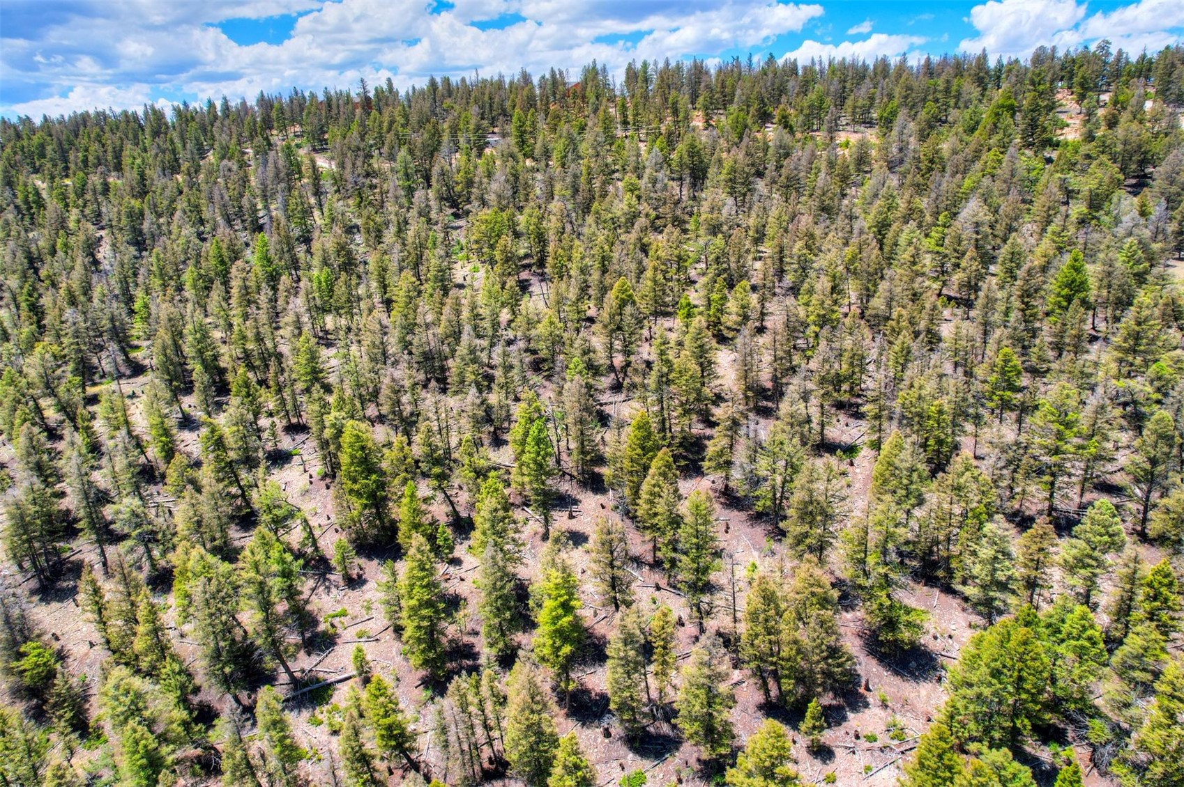 Lot 262 Middle Fork Vista