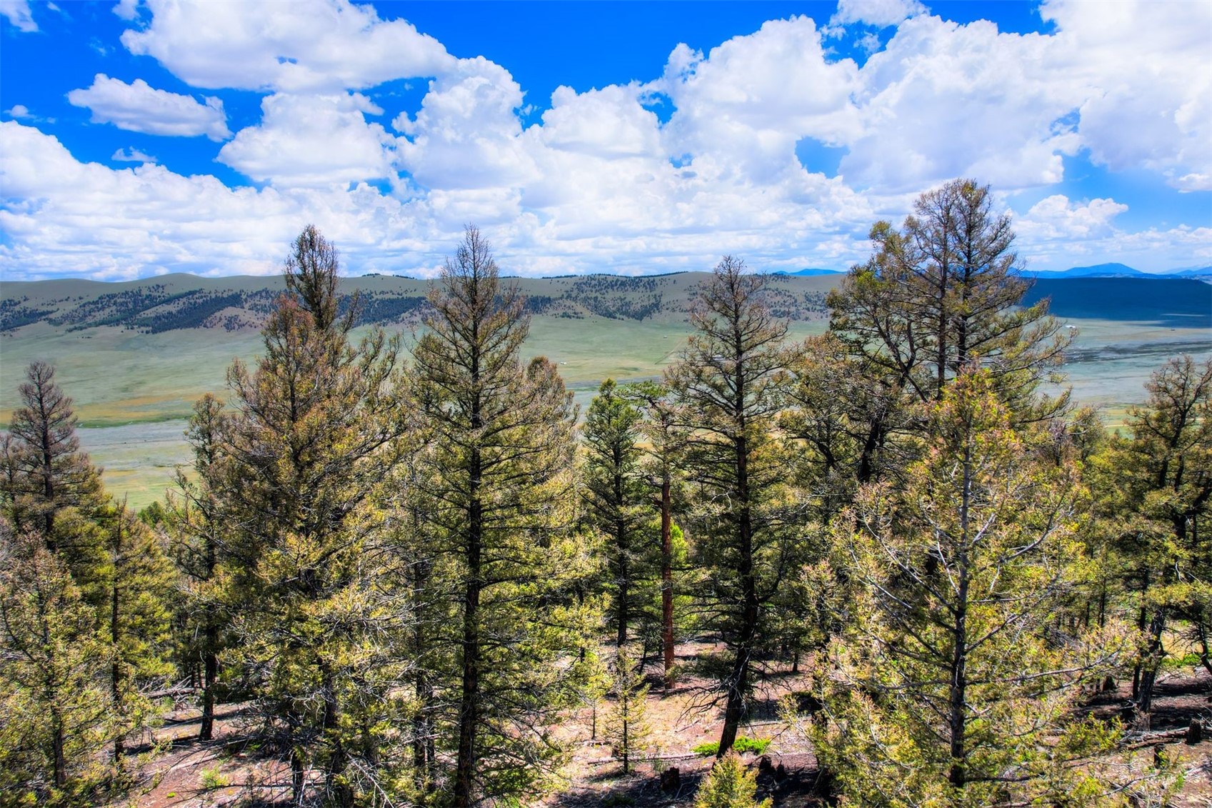 Lot 262 Middle Fork Vista