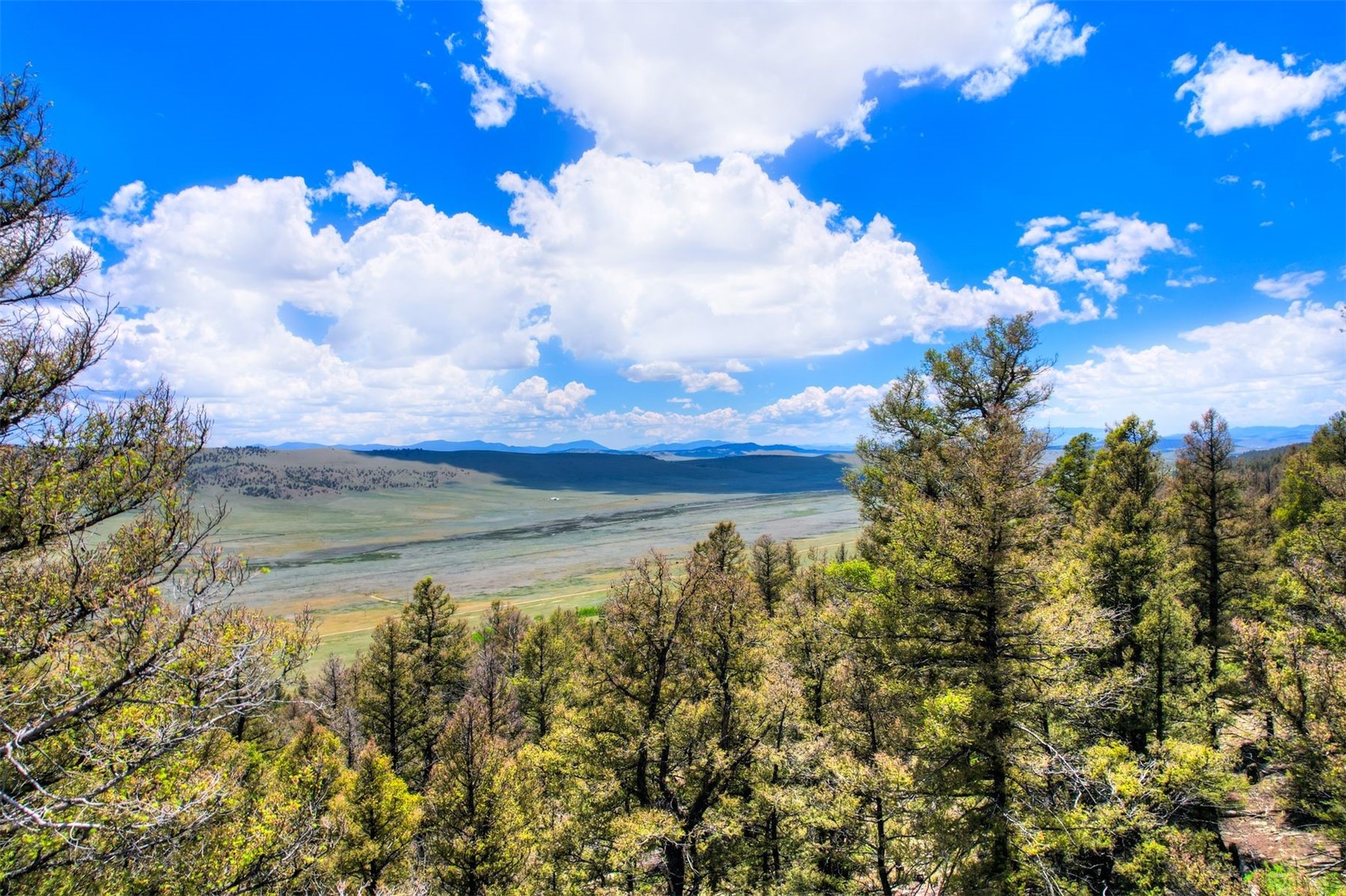 Lot 262 Middle Fork Vista