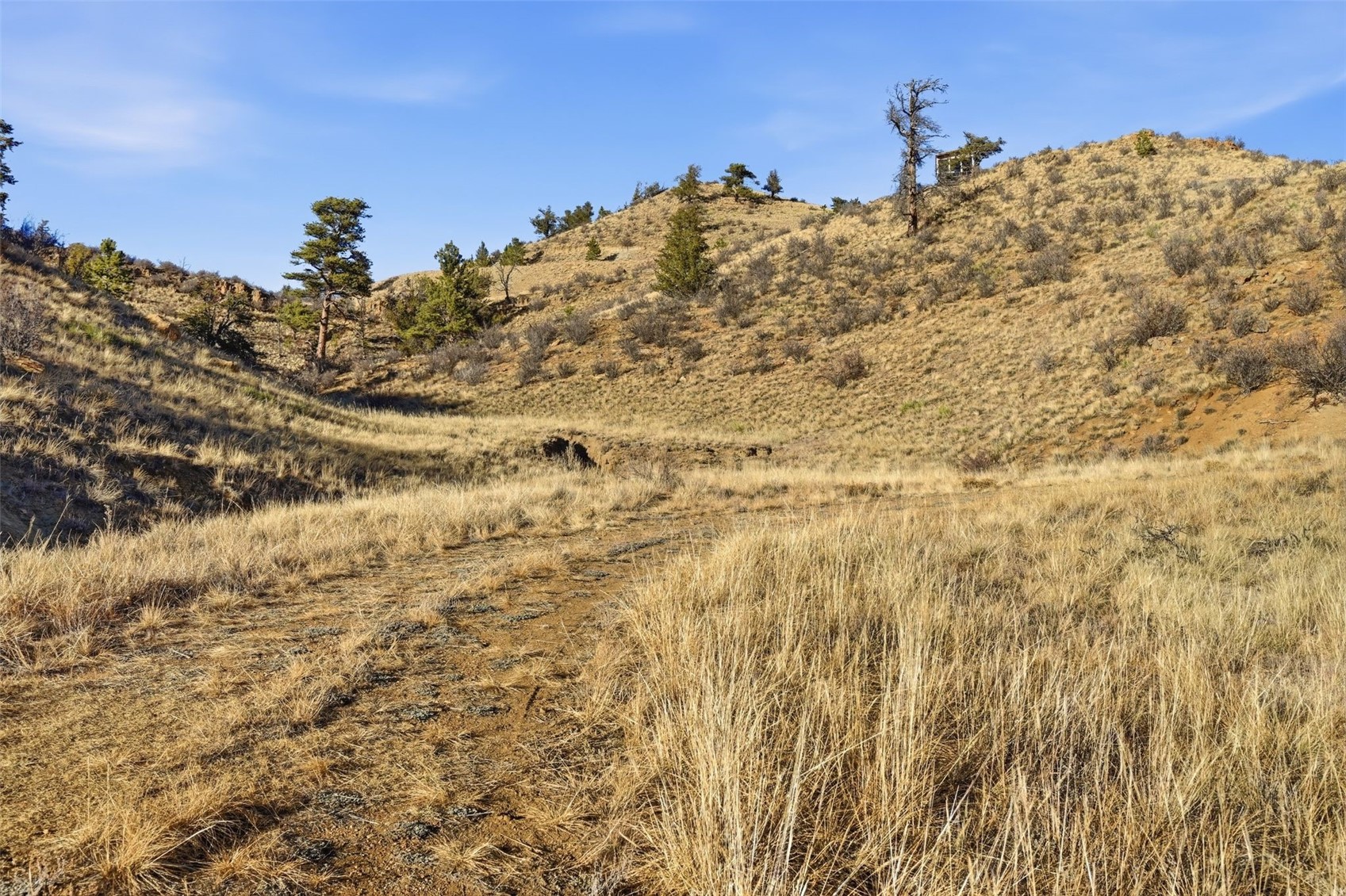 3490 Clear Creek ROAD