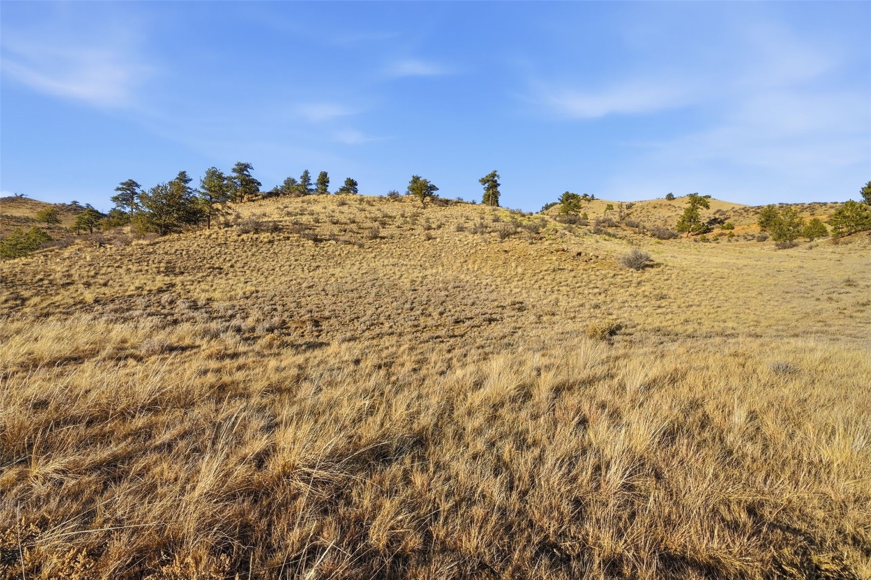 3490 Clear Creek ROAD