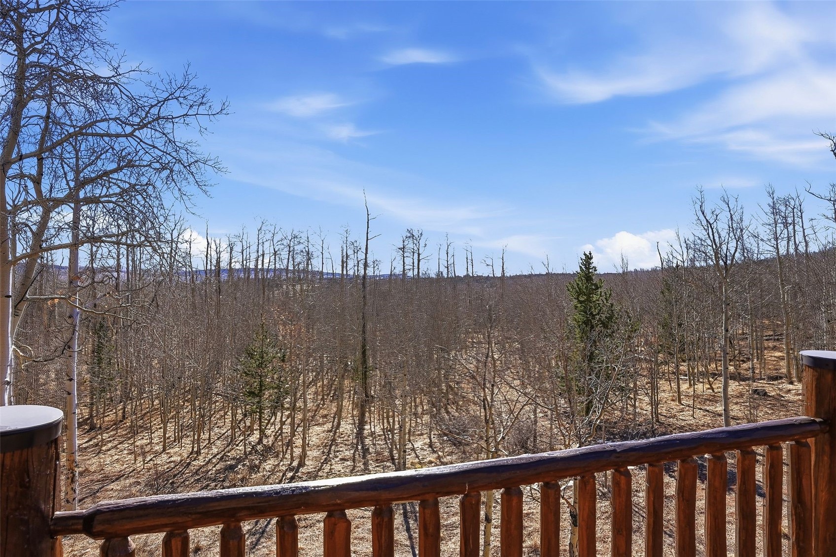 252 Iron Mountain ROAD