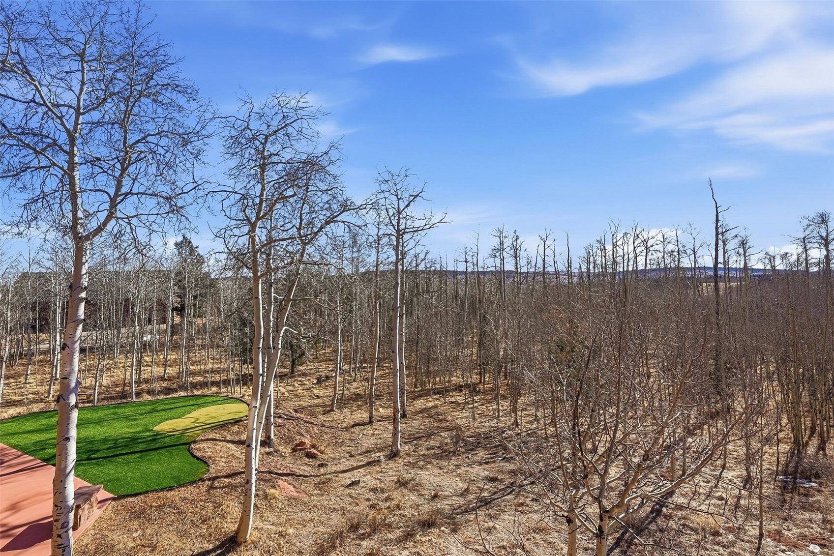 252 Iron Mountain ROAD