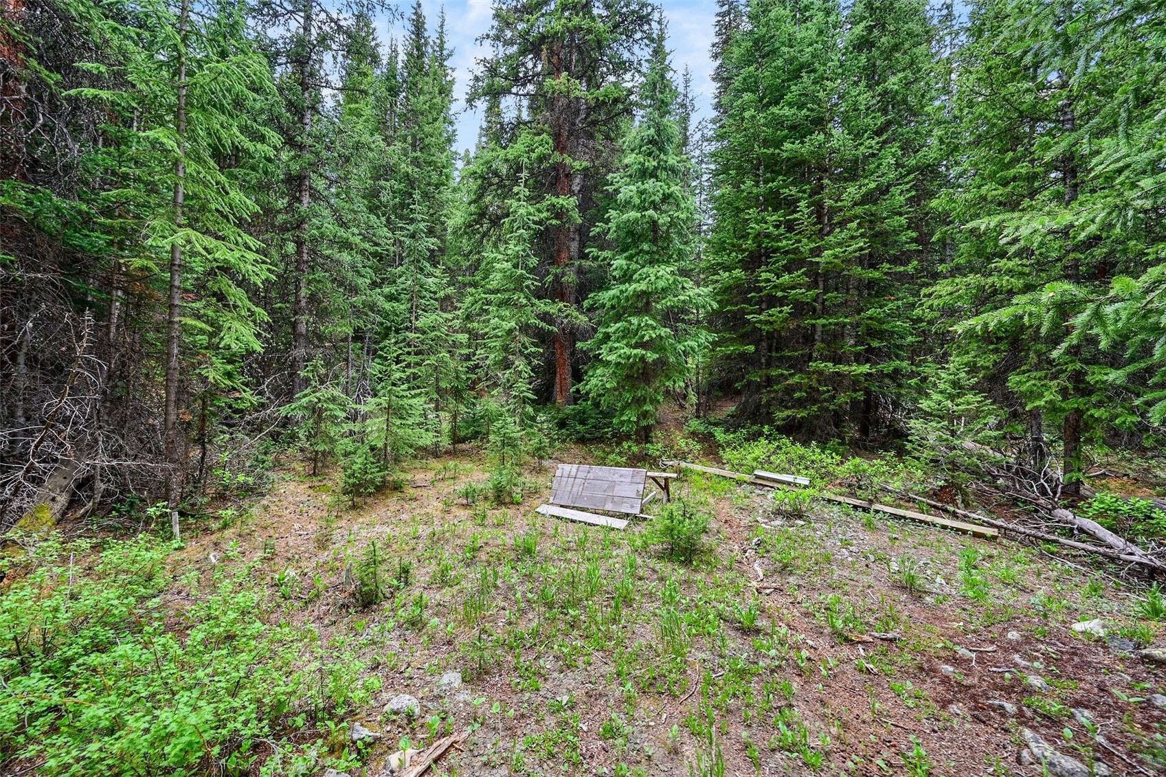 286 County Road 675