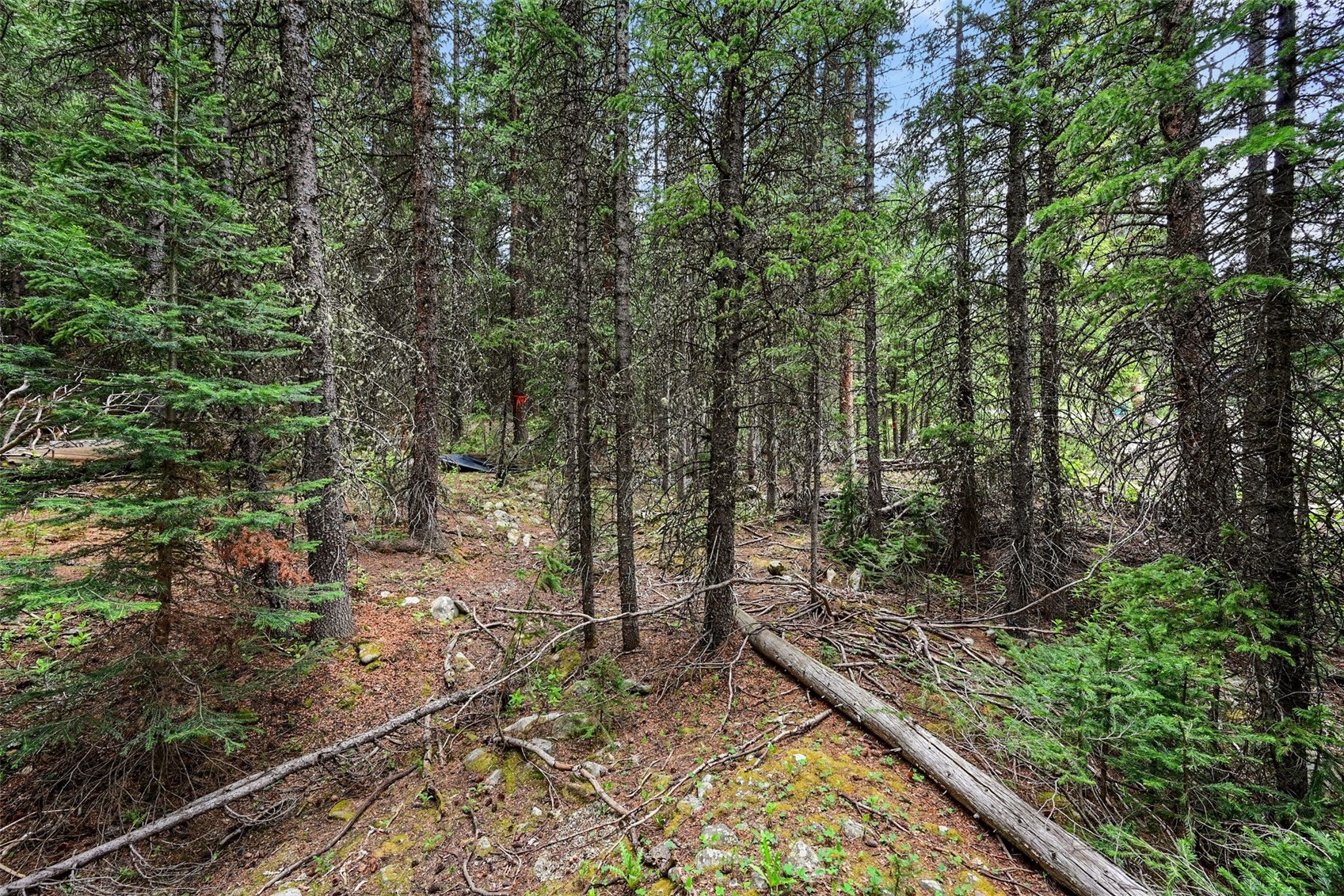 286 County Road 675