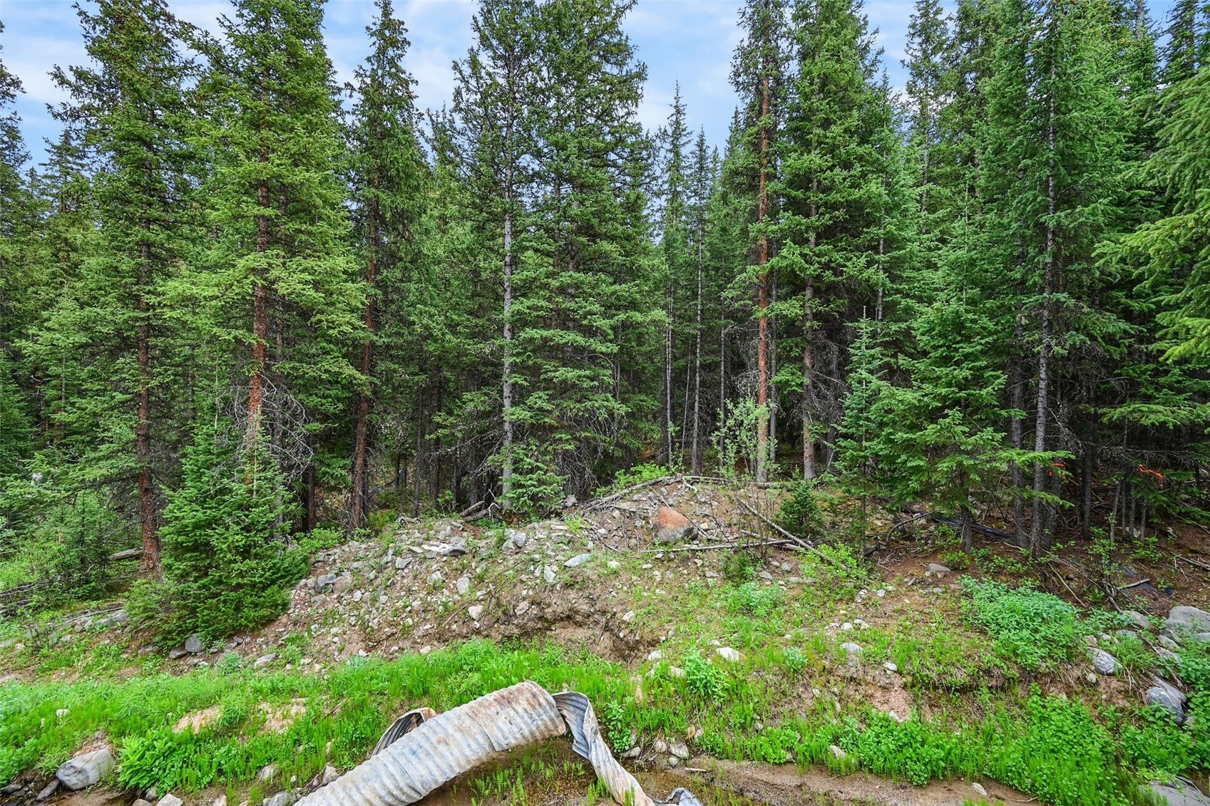286 County Road 675