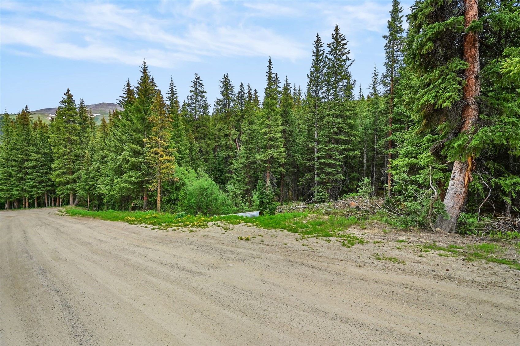 286 County Road 675