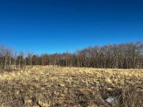 3538 High Creek ROAD