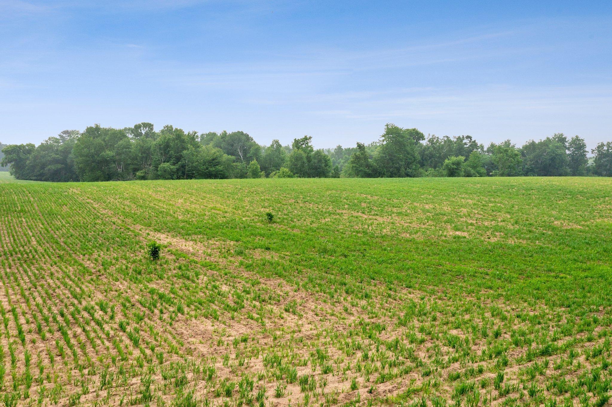 Lot 2 375th Avenue NE