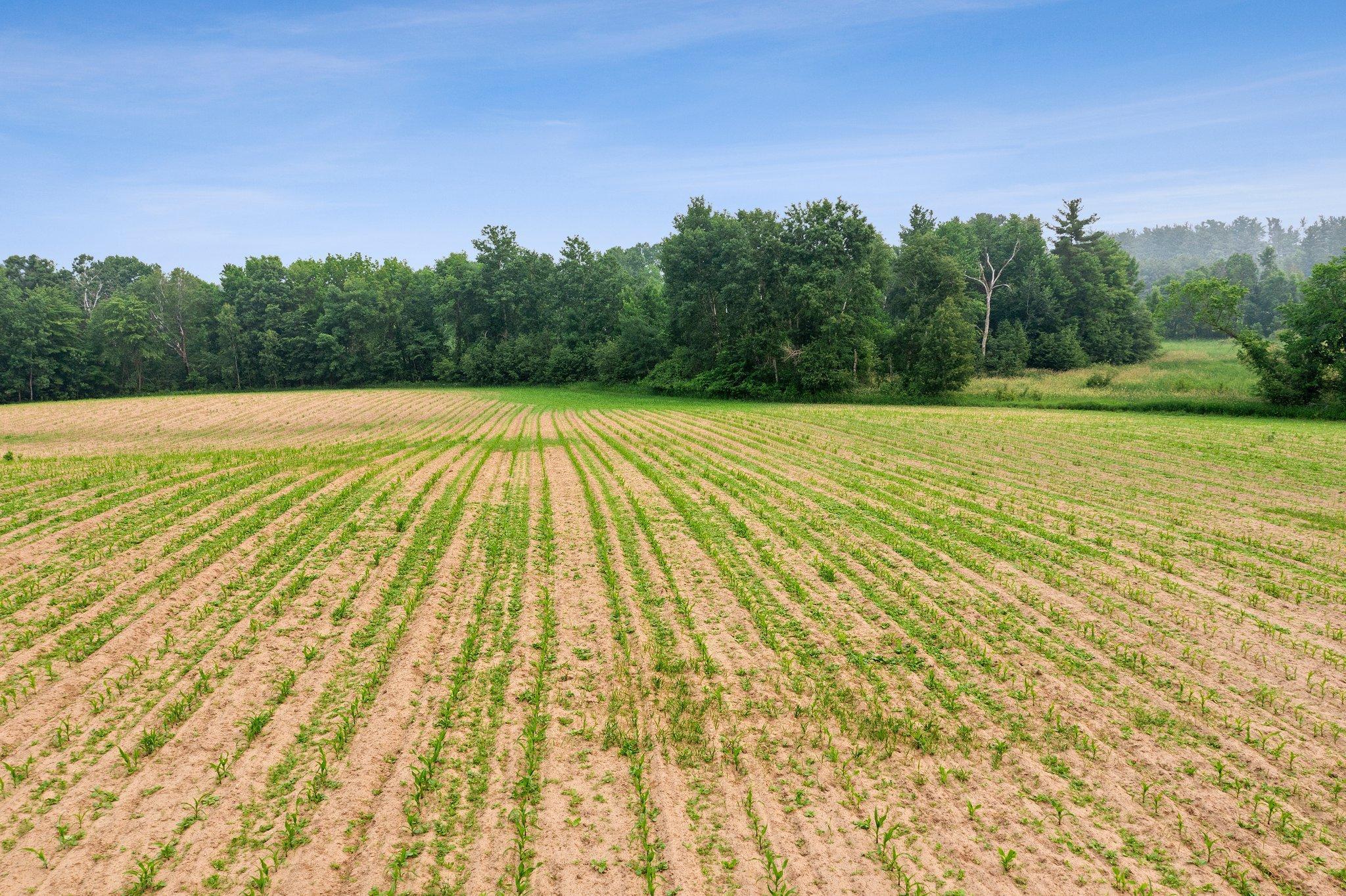 Lot 2 375th Avenue NE