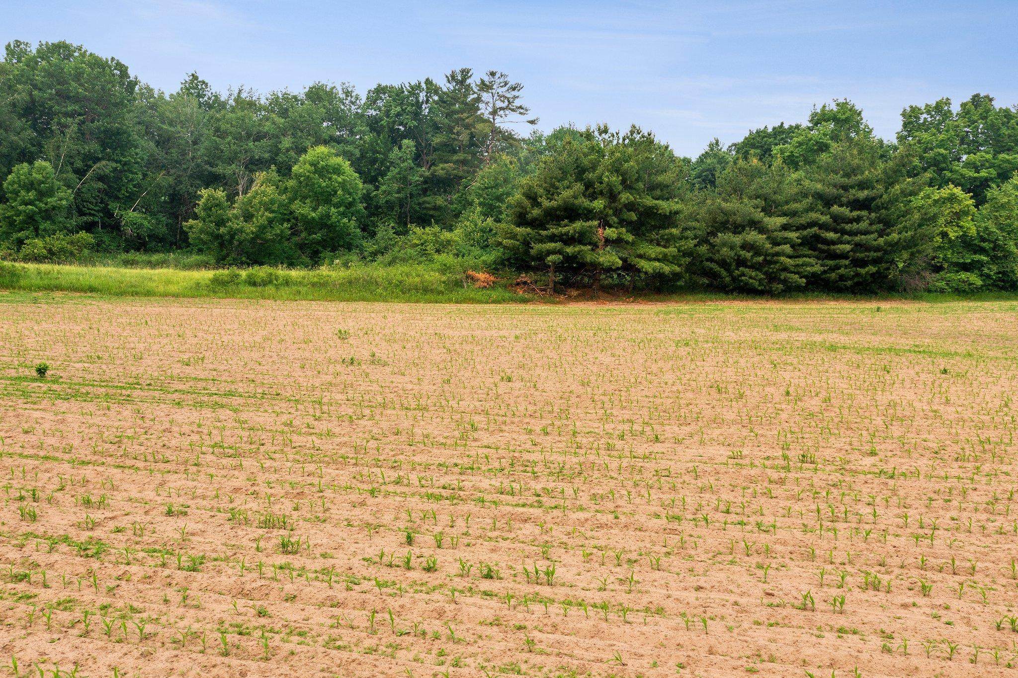 Lot 2 375th Avenue NE