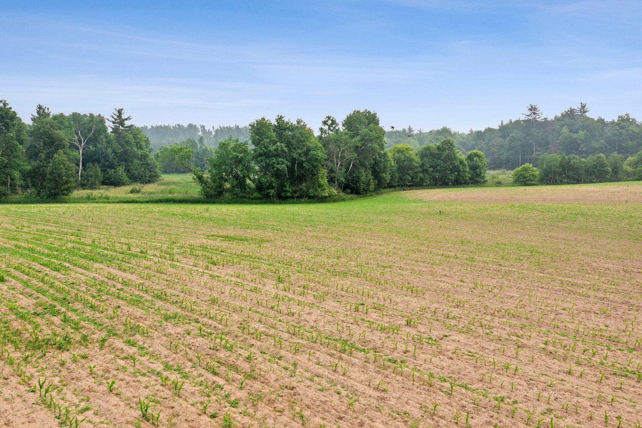 Lot 2 375th Avenue NE