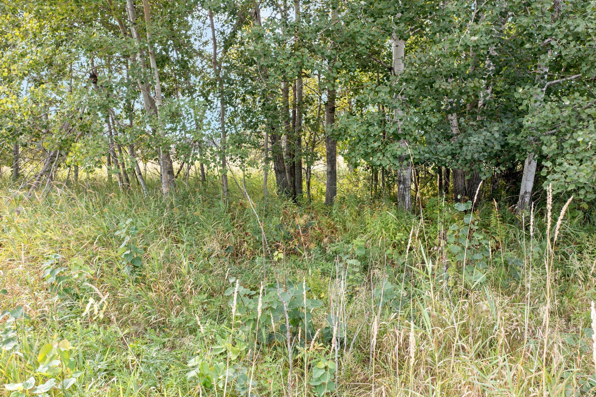 Lot A Durant Street NE