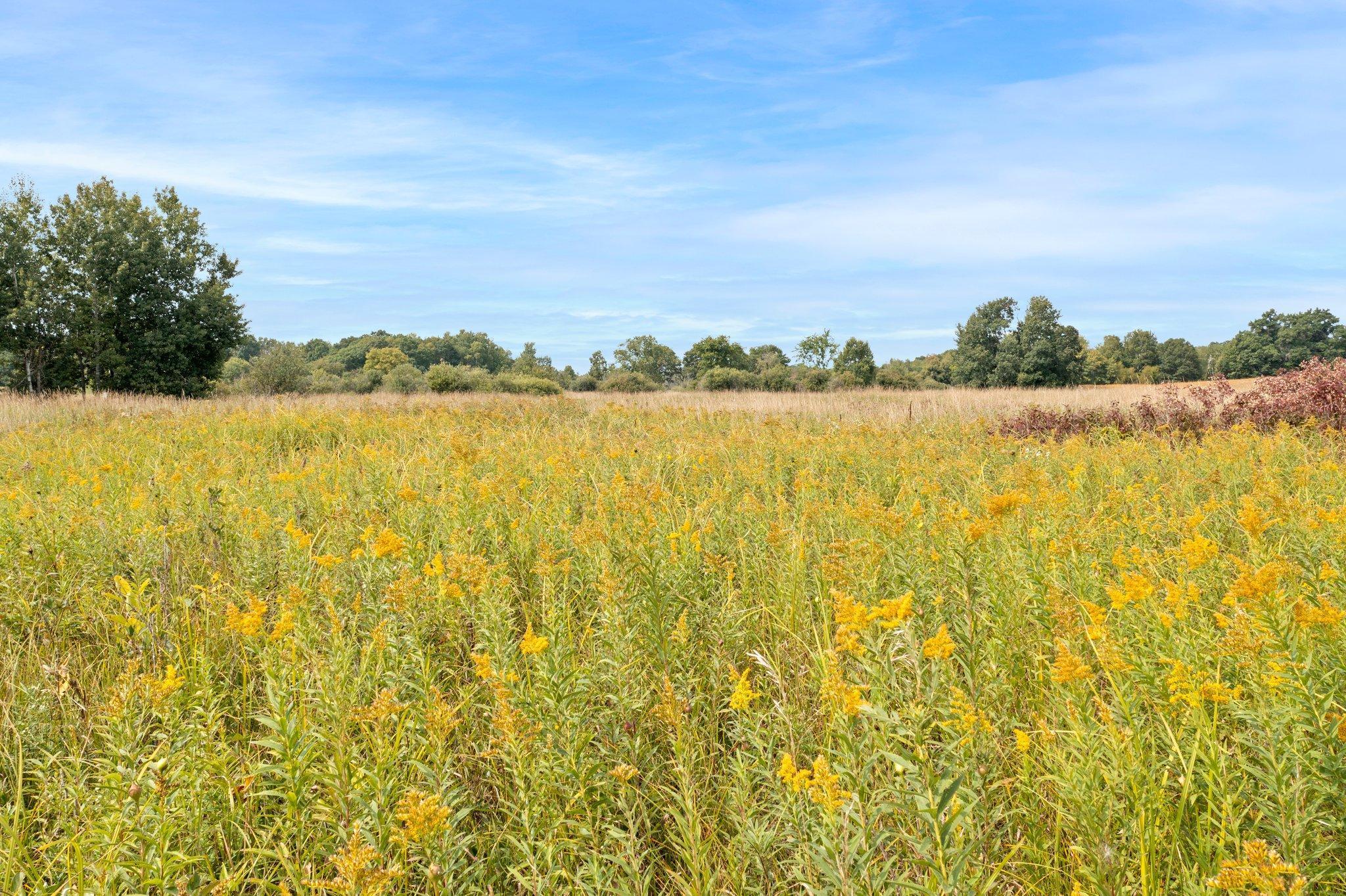 Lot A Durant Street NE