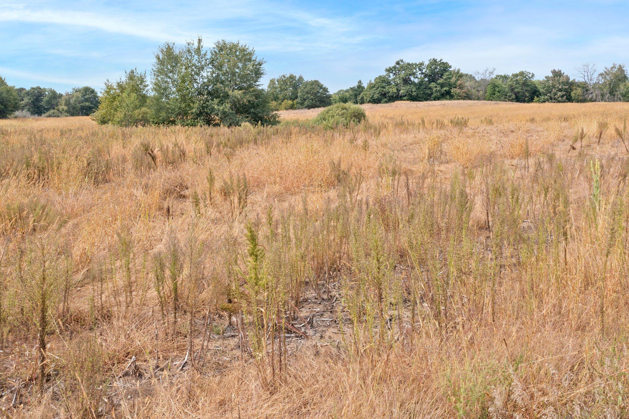 Lot A Durant Street NE