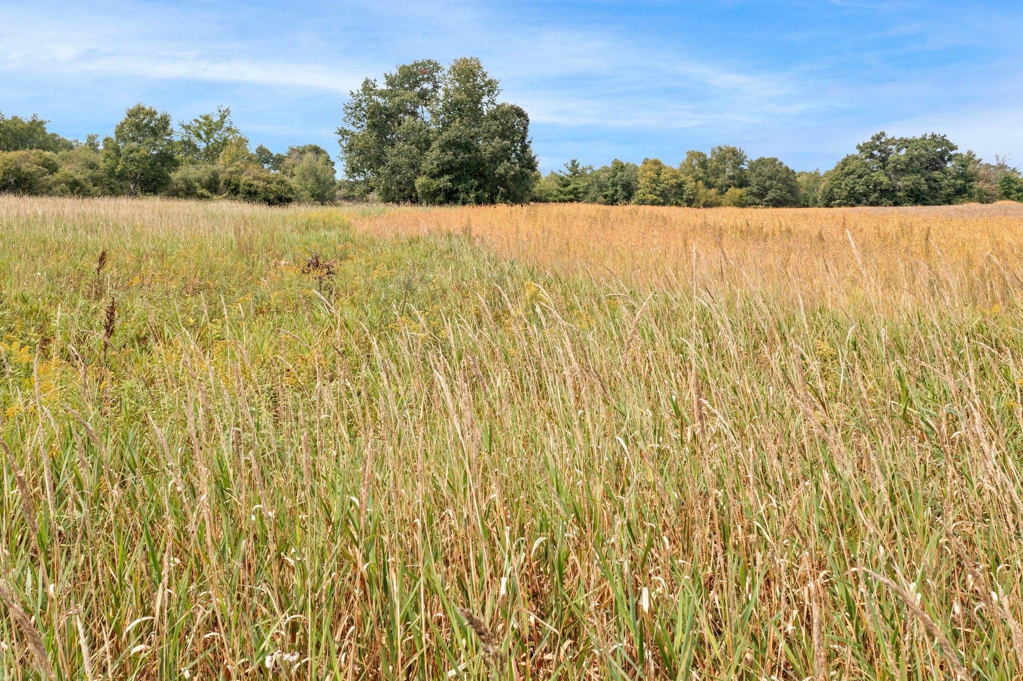 Lot B Durant Street NE