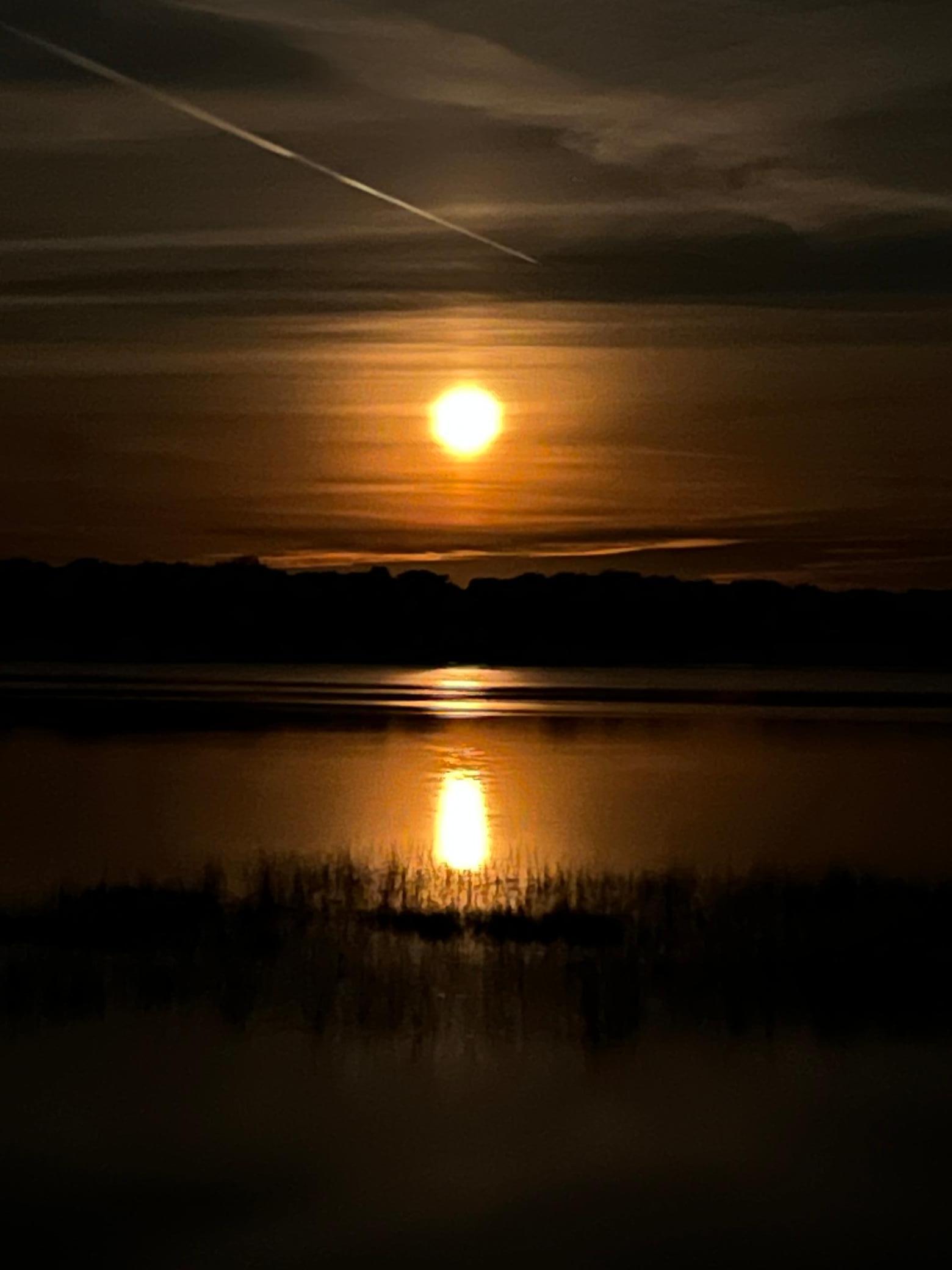 50100 Bayside Avenue