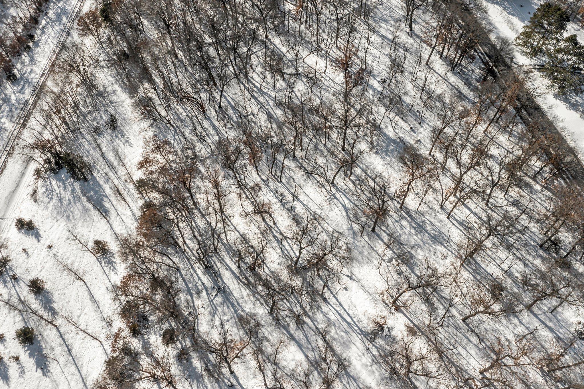 Lot 3 Central Drive NE