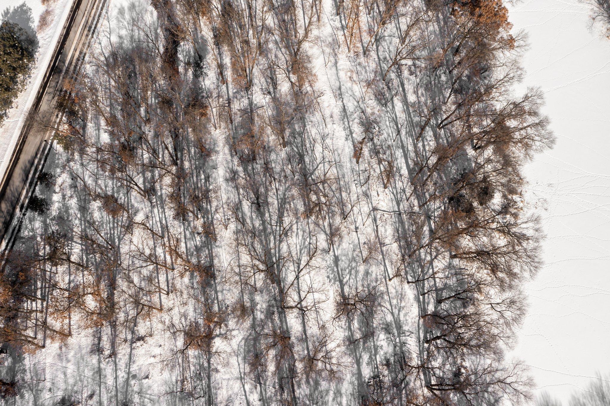 Lot 3 Central Drive NE