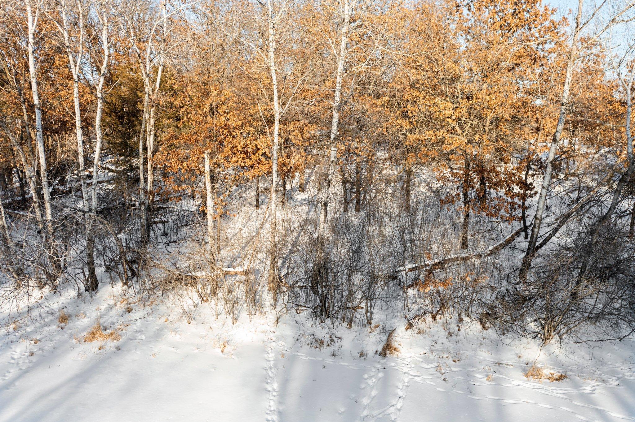 Lot 3 Central Drive NE