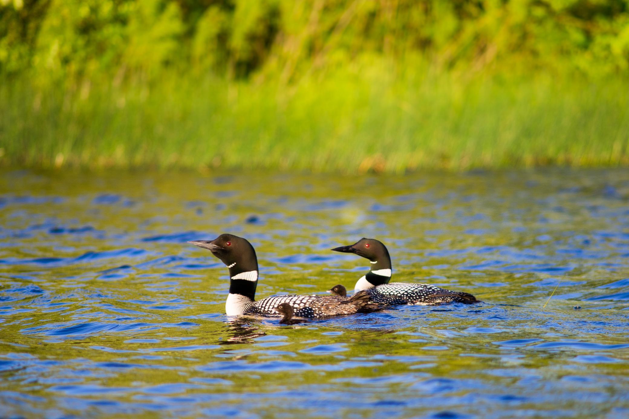 31512 London Drive NE