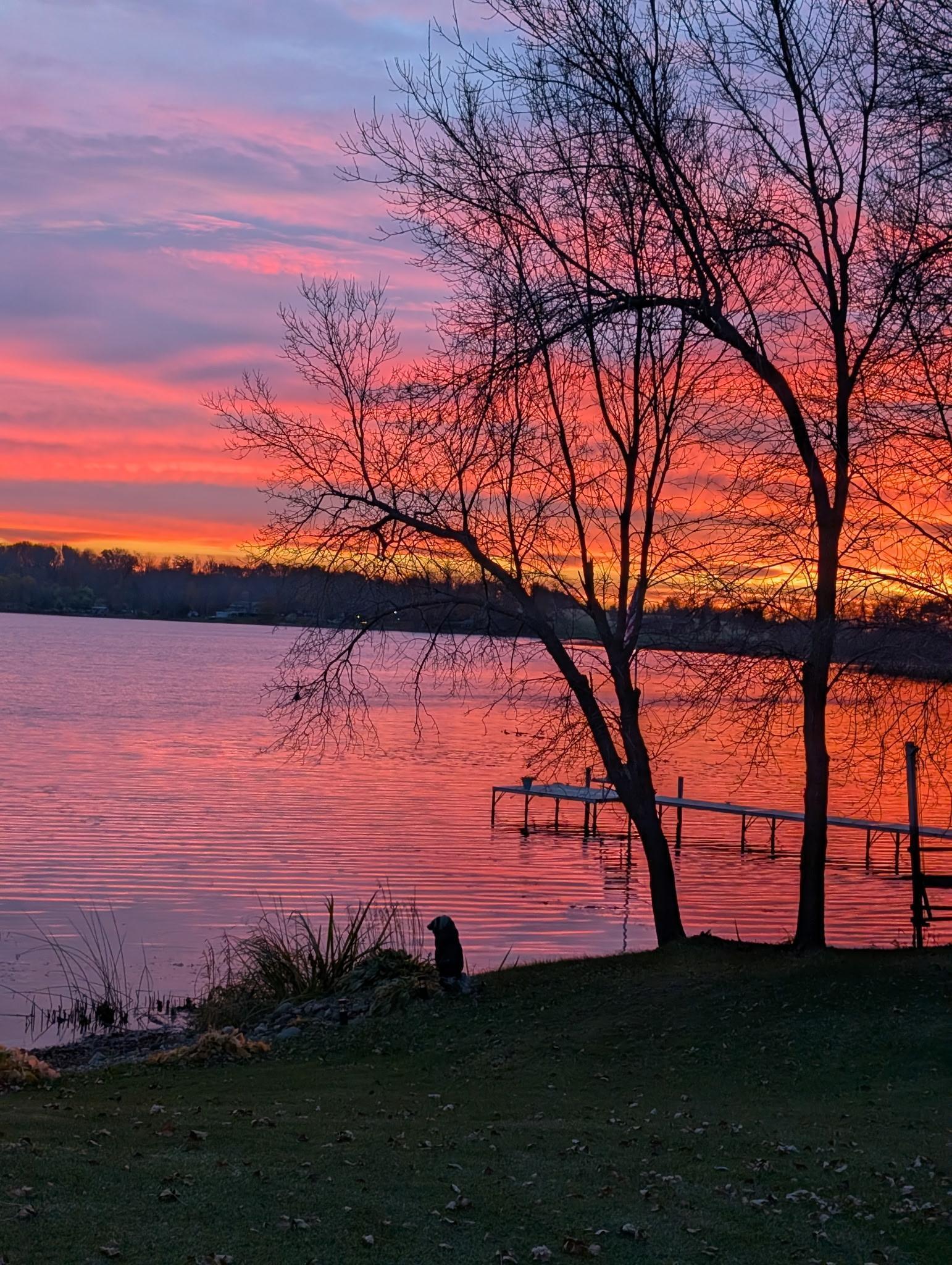 2320 Cedarcrest Court