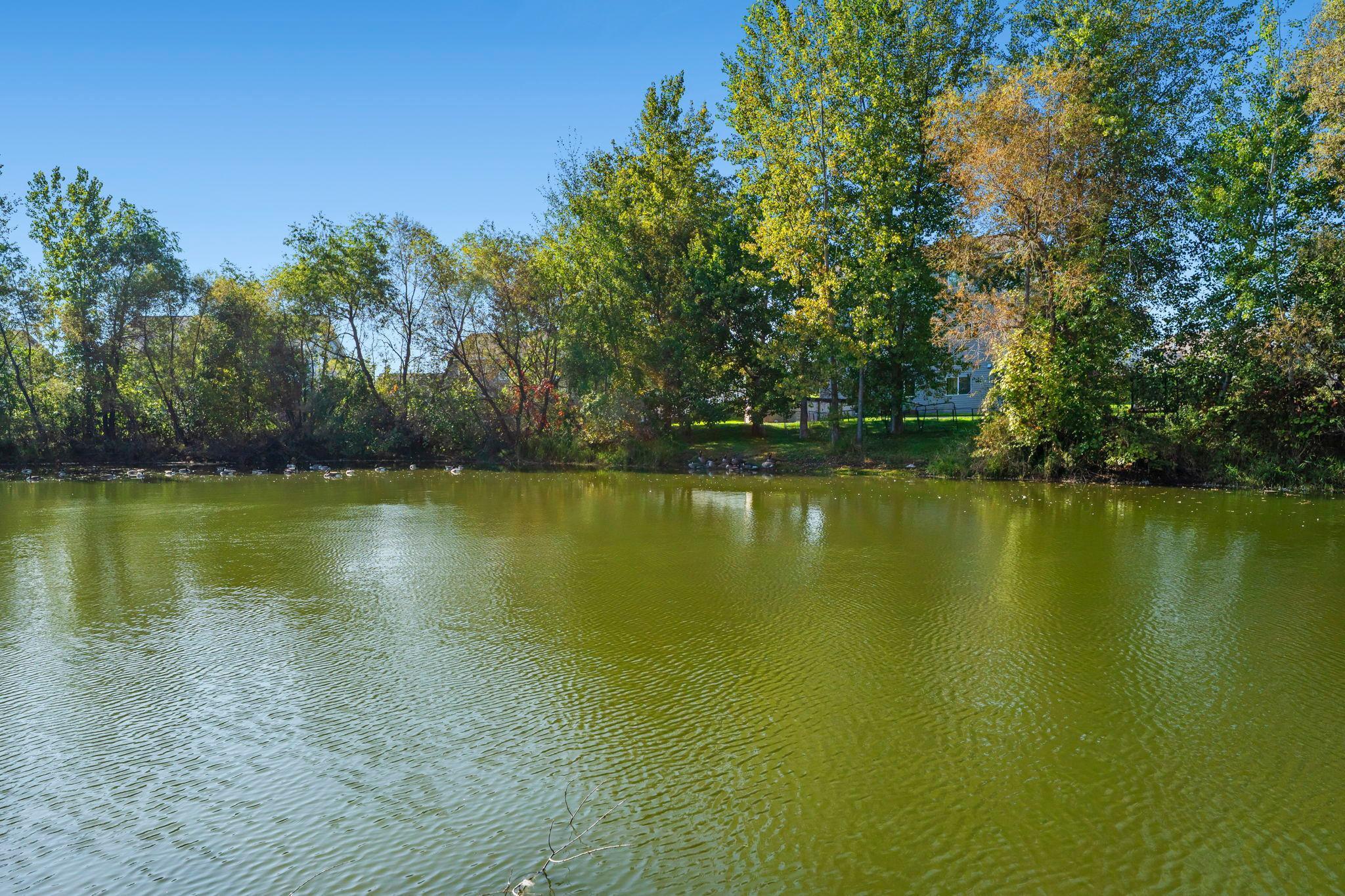 676 Elins Lake Road SE