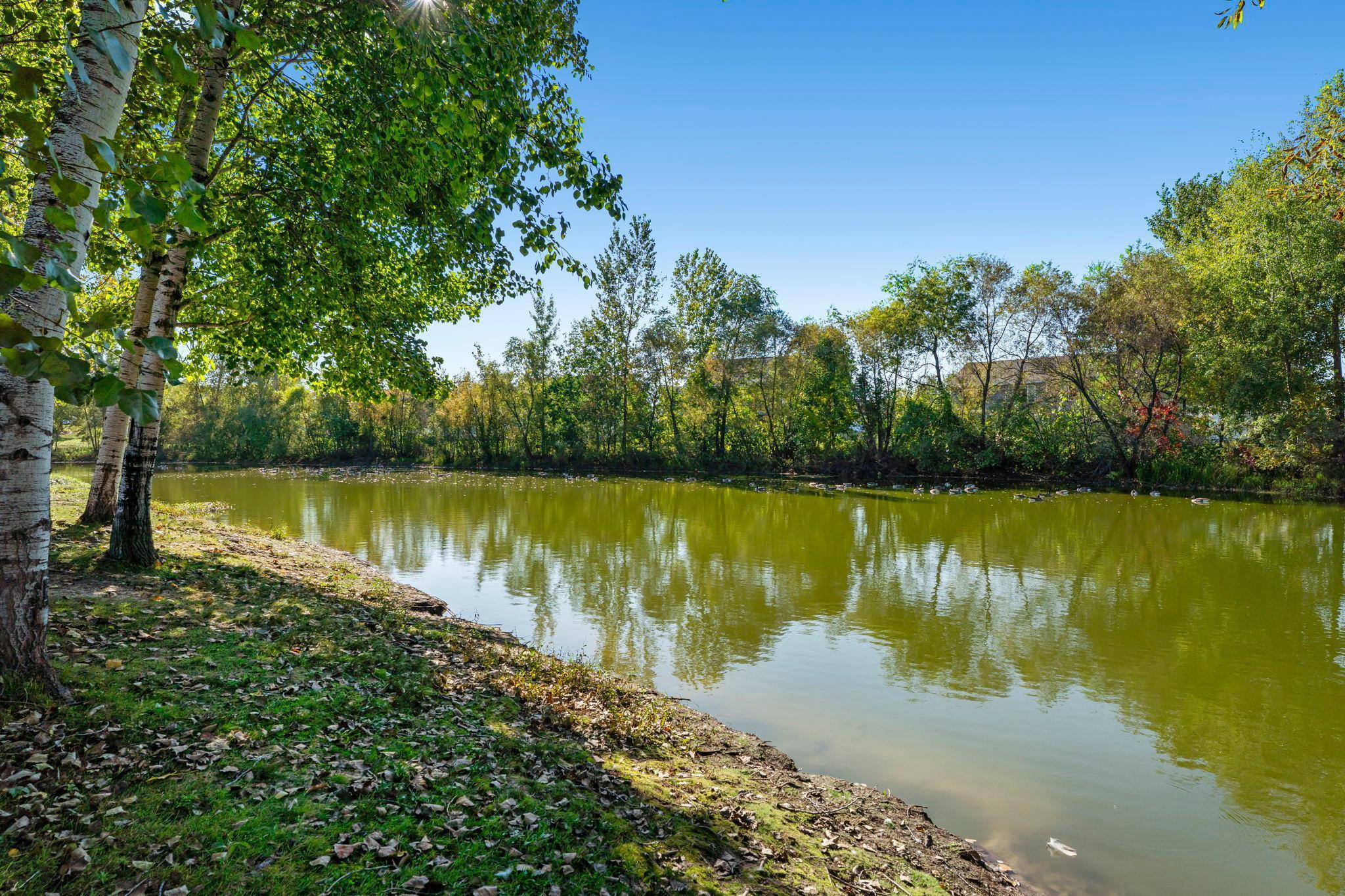 676 Elins Lake Road SE