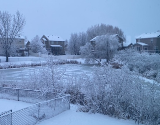 6777 Mason Court NE