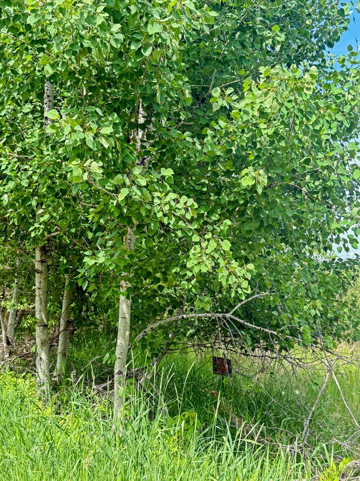 0000 Paradise Trail NW
