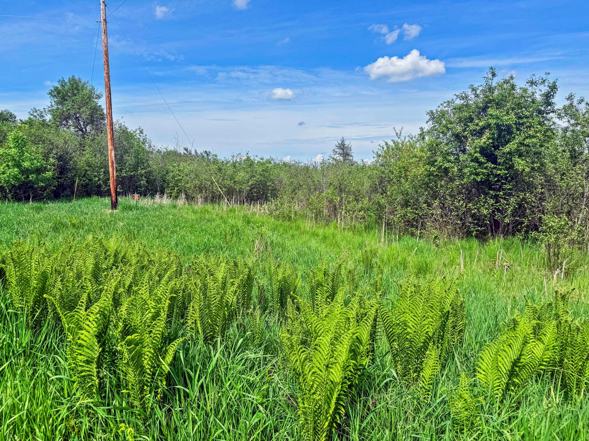0000 Paradise Trail NW